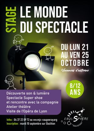 Stage Le monde du spectacle 8/12 ans