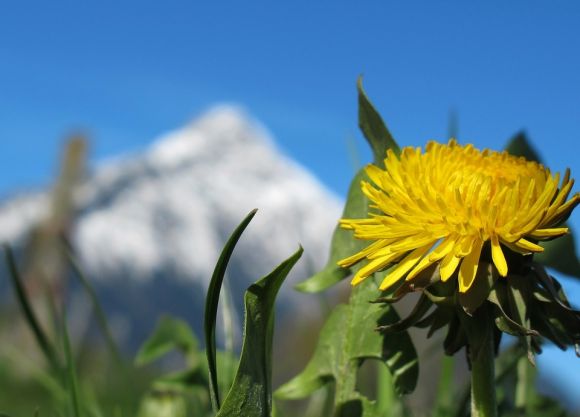 Mini Séjour Hiver et Printemps